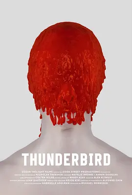 Thunderbird封面图
