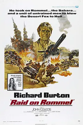 突袭隆美尔封面图