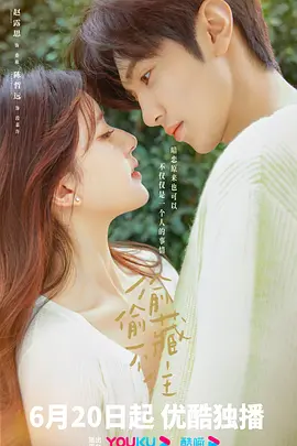 偷偷藏不住封面图