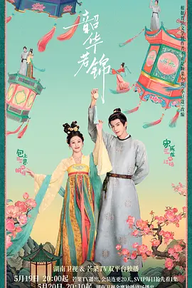 韶华若锦封面图