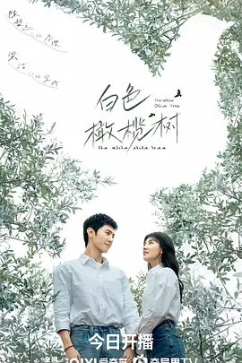 白色橄榄树封面图