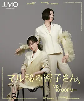 绝密的密子小姐封面图