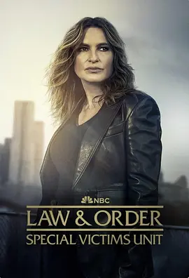 法律与秩序：特殊受害者 第二十七季封面图