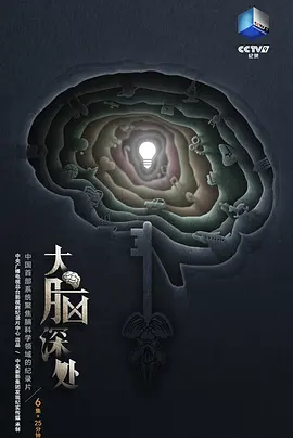 大脑深处封面图