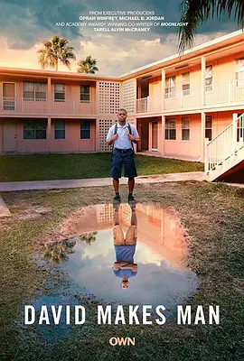 戴维成长记 第一季封面图