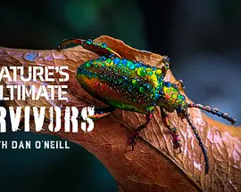 动物封神榜 第一季封面图