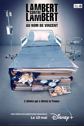 Lambert contre Lambert : Au nom de Vincent Season 1封面图