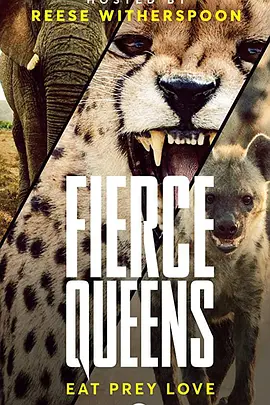 捕猎皇后封面图