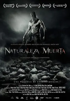 Naturaleza muerta封面图