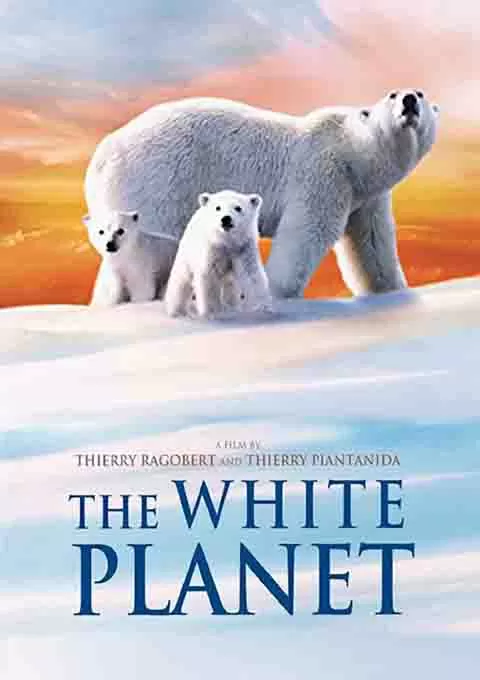 白色星球封面图