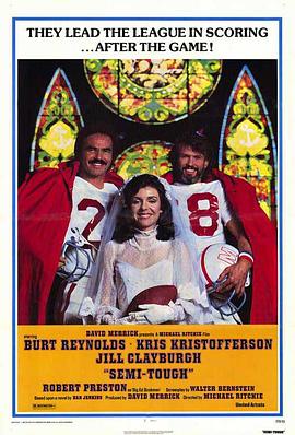 匹夫之勇封面图