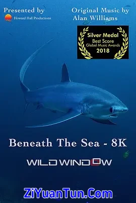 Beneath the Sea封面图