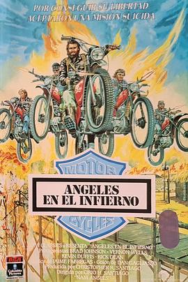 南部天使封面图