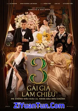 剩女大作战 3封面图