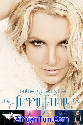 布兰妮蛇蝎美人巡回演唱会封面图