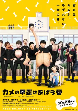 乌龟的壳其实是肋骨封面图