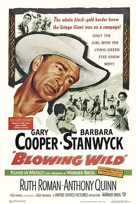 火海双雄封面图