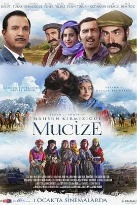 爱之奇迹封面图