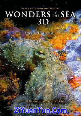 奇妙的海洋封面图