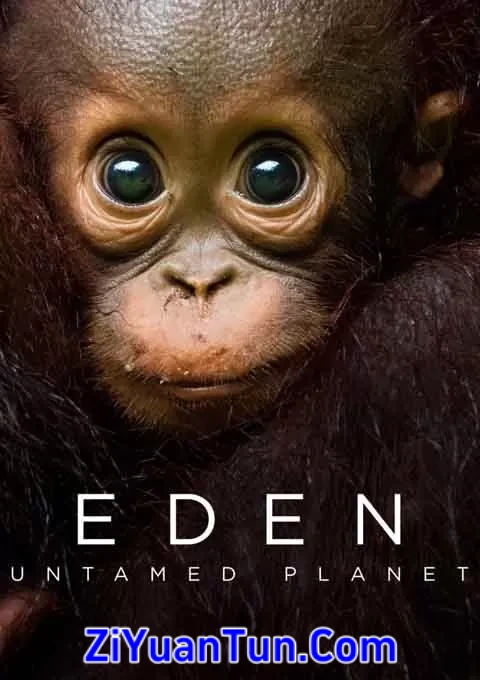 伊甸园：最后的秘境封面图