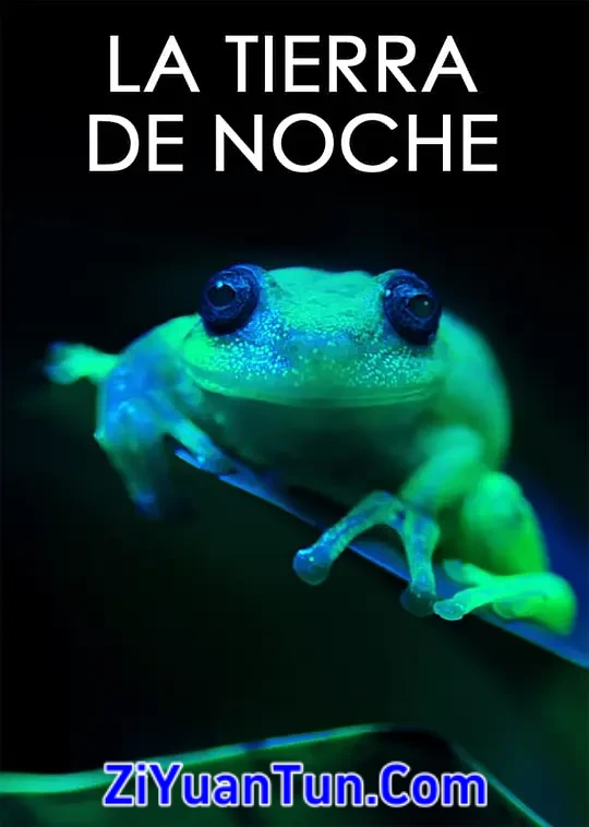 地球的夜晚封面图