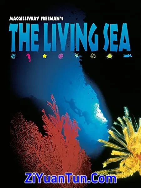 生命海洋封面图