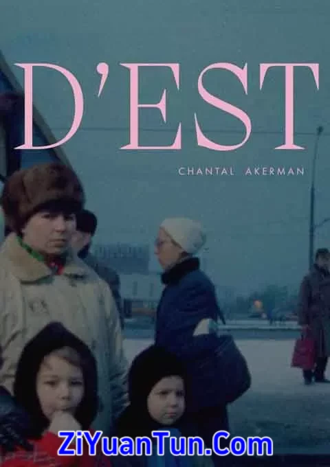 来自东方封面图