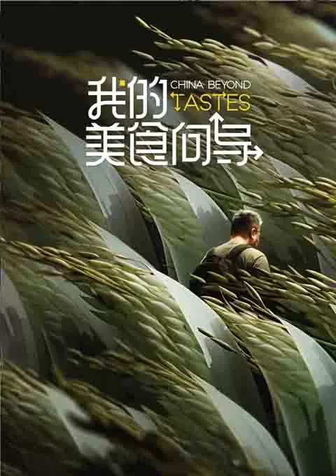 我的美食向导封面图