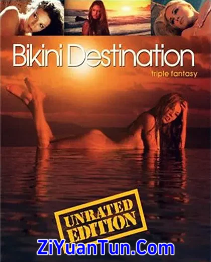 比基尼目的地：三重幻想封面图
