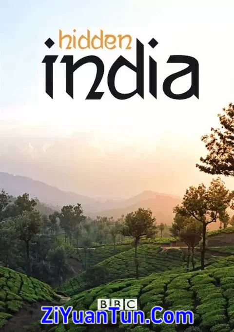 隐秘的印度封面图