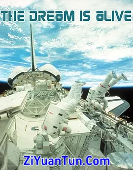 执着的梦想封面图