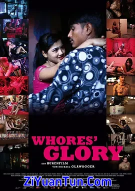妓女的荣耀封面图
