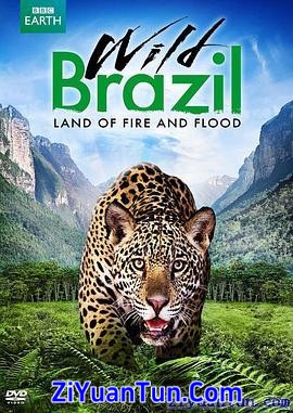 狂野巴西封面图