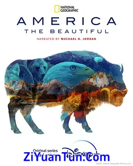 美丽美利坚封面图