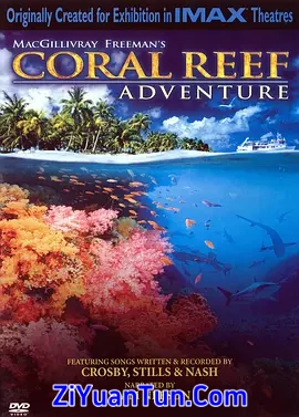 珊瑚礁封面图