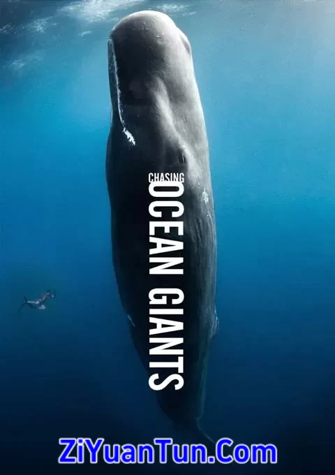 追踪海洋巨兽封面图