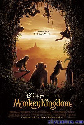 猴子王国封面图