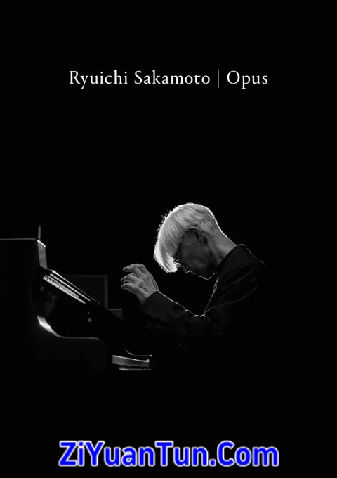 坂本龙一：杰作封面图