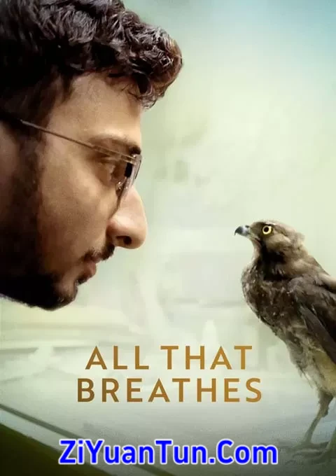 生生相息封面图