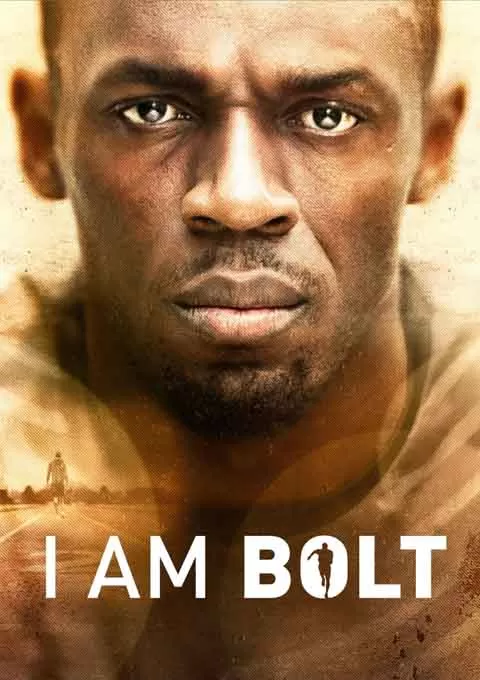 我即闪电封面图