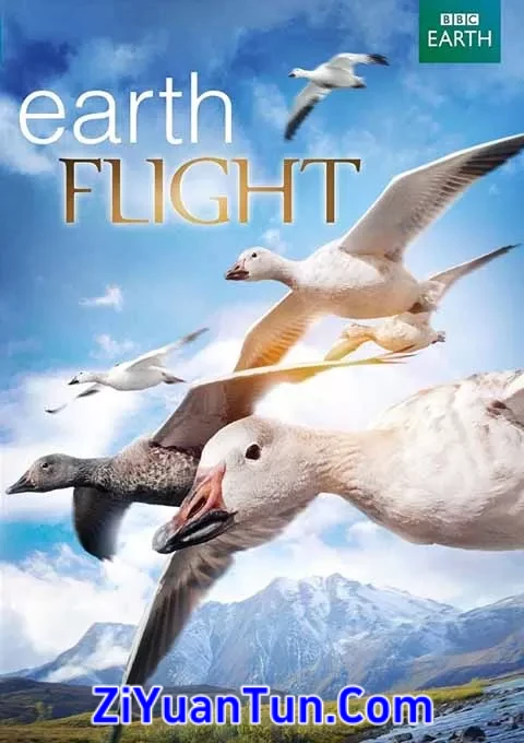 鸟瞰地球封面图