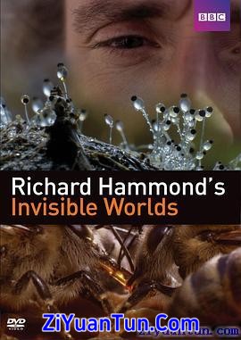 理查德·哈蒙德：看不见的世界封面图