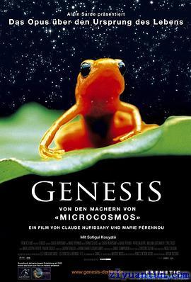 小宇宙2：基因狂想曲封面图