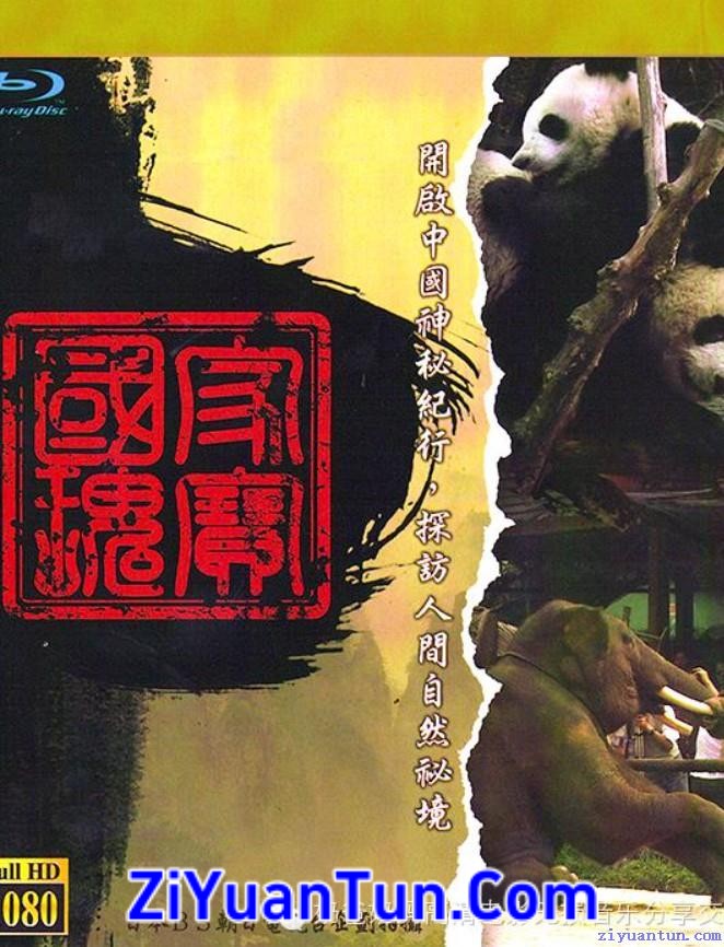 中国神秘纪行 一、二季封面图