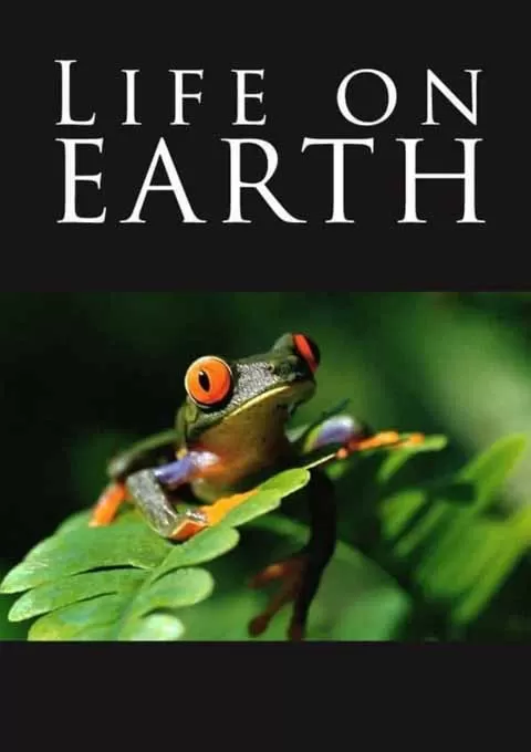 生命的进化封面图