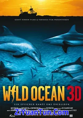 狂野之海封面图