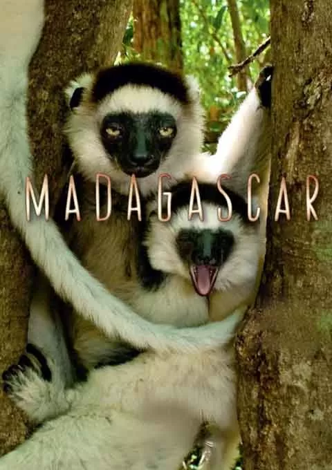 马达加斯加封面图