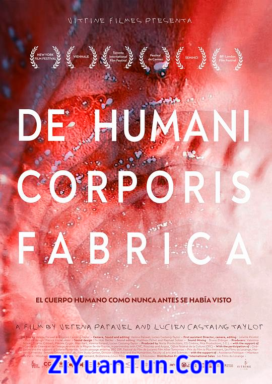 人体结构封面图