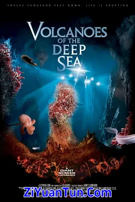 深海底火山封面图