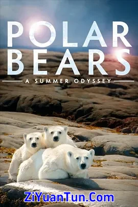 北极熊：一个夏天的奥德赛封面图